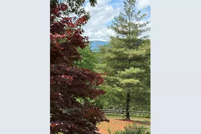 250 Burt Blackwell Road, Mill Spring, NC 28756 - Photo 6