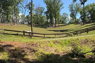 250 Burt Blackwell Rd, Mill Spring, NC 28756 - Photo 34
