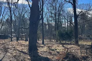 16 Mallory Ln, Arden, NC 28704 - Photo 34