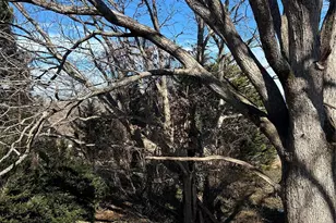 16 Mallory Ln, Arden, NC 28704 - Photo 22