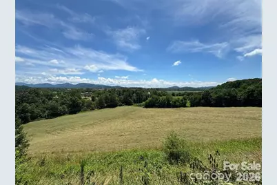 598 Miles View Road, Mills River, NC 28759 - Photo 8