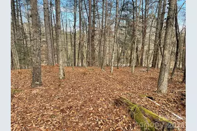 4650 John Berry Road, Valdese, NC 28690 - Photo 10