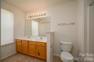 10553 Trolley Run Dr, Cornelius, NC 28031 - Photo 22
