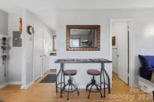 301 Pinnacle Inn Rd, Beech Mountain, NC 28604 - Photo 8