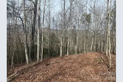 Lot 10, 11 River Run Run, Franklin, NC 28734 - Photo 2