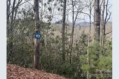 Lot 10, 11 River Run Run, Franklin, NC 28734 - Photo 10