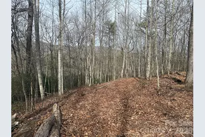 Lot 10, 11 River Run Run, Franklin, NC 28734 - Photo 8