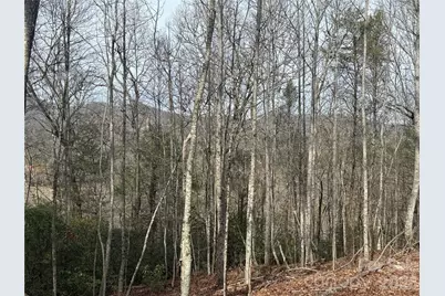 Lot 10, 11 River Run Run, Franklin, NC 28734 - Photo 4