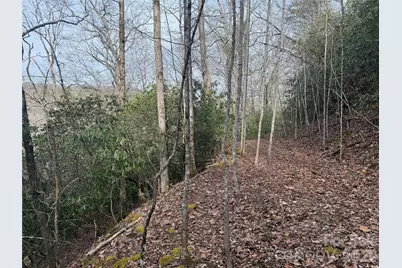 Lot 10, 11 River Run Run, Franklin, NC 28734 - Photo 12