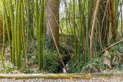 84 Macon Avenue, Asheville, NC 28801 - Photo 44