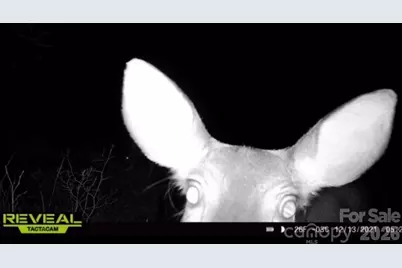 7039 Joe Bowman Avenue, Newland, NC 28657 - Photo 34