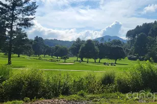 445 Allison Dr, Maggie Valley, NC 28751 - Photo 8