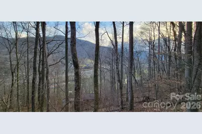 445 Allison Drive, Maggie Valley, NC 28751 - Photo 4