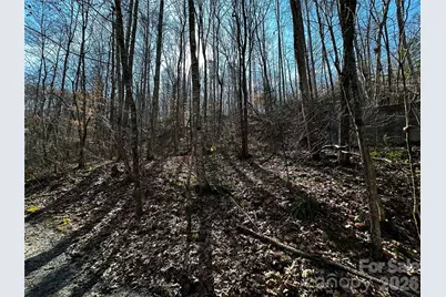 Lot 11 Blue Mist Mountain Road, Whittier, NC 28789 - Photo 4