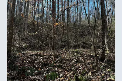 Lot 11 Blue Mist Mountain Road, Whittier, NC 28789 - Photo 8