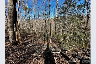 Lot 11 Blue Mist Mountain Road, Whittier, NC 28789 - Photo 14