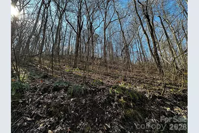 Lot 11 Blue Mist Mountain Road, Whittier, NC 28789 - Photo 12