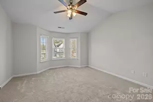 209 Primrose Walk, Fort Mill, SC 29715 - Photo 20