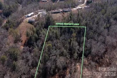 V/L Ridge Walk Road #16, Nebo, NC 28761 - Photo 8