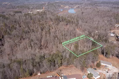 V/L Ridge Walk Road #16, Nebo, NC 28761 - Photo 4