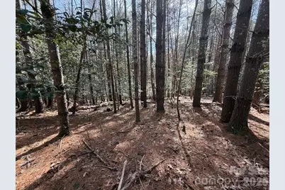 1386 Southpointe Drive, Morganton, NC 28655 - Photo 16