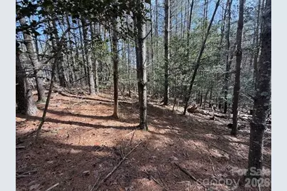 1386 Southpointe Drive, Morganton, NC 28655 - Photo 14