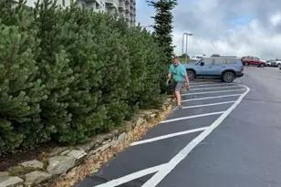 303 Sugar Top Dr, Sugar Mountain, NC 28604 - Photo 2