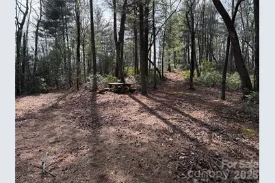 Tbd Rich Pine Drive #120, Purlear, NC 28665 - Photo 2