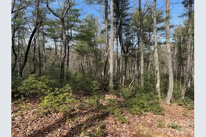 Tbd Rich Pine Drive #120, Purlear, NC 28665 - Photo 14