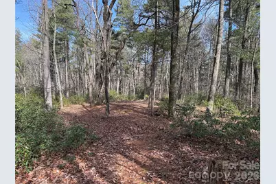 Tbd Rich Pine Drive #120, Purlear, NC 28665 - Photo 12