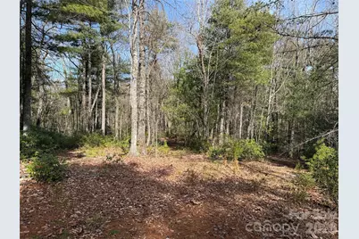 Tbd Rich Pine Drive #120, Purlear, NC 28665 - Photo 10