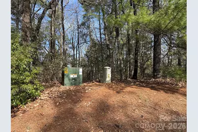 Tbd Rich Pine Drive #120, Purlear, NC 28665 - Photo 6