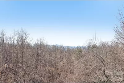 751 Hutch Mountain Road, Fletcher, NC 28732 - Photo 38