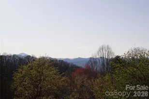 751 Hutch Mountain Rd, Fletcher, NC 28732 - Photo 46