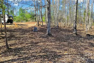 434 Free Path Dr, Nebo, NC 28761 - Photo 32