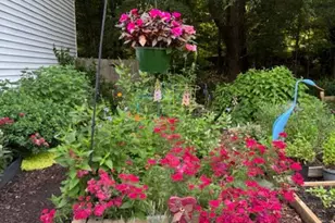 2601 Rustic Ridge Ct, Charlotte, NC 28270 - Photo 46