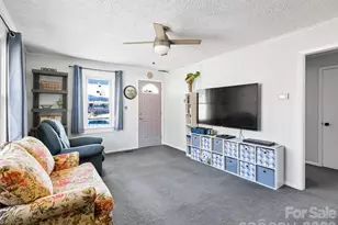 2313 Hyder Mountain Rd, Clyde, NC 28721 - Photo 20