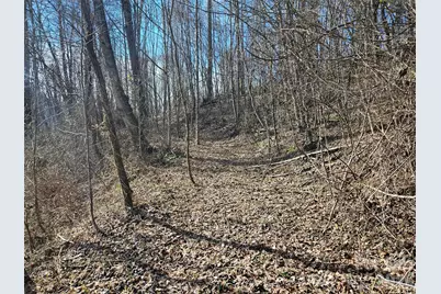 0 Woodfin Road, Sylva, NC 28779 - Photo 4