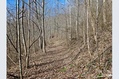 0 Woodfin Road, Sylva, NC 28779 - Photo 6