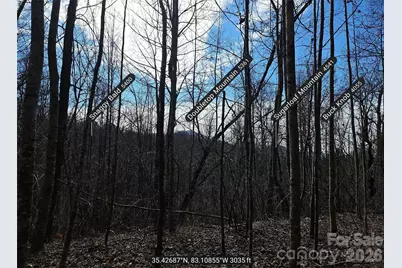 0 Woodfin Road, Sylva, NC 28779 - Photo 8