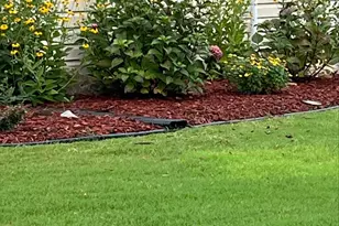 4444 Bravery Pl SW, Concord, NC 28027 - Photo 46