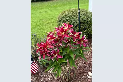 4444 Bravery Place SW #116, Concord, NC 28027 - Photo 40