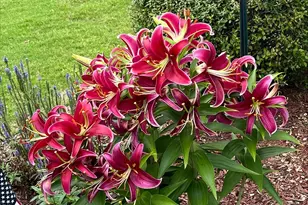 4444 Bravery Pl SW, Concord, NC 28027 - Photo 40