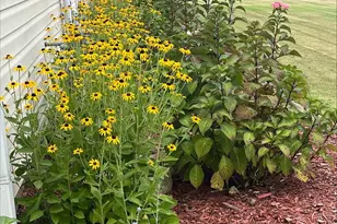 4444 Bravery Pl SW, Concord, NC 28027 - Photo 42