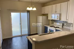 8709 Wandering Creek Way, Charlotte, NC 28227 - Photo 6