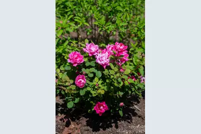 55 Outlook Circle, Swannanoa, NC 28778 - Photo 46