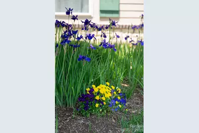 55 Outlook Circle, Swannanoa, NC 28778 - Photo 44