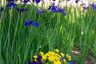 55 Outlook Cir, Swannanoa, NC 28778 - Photo 44