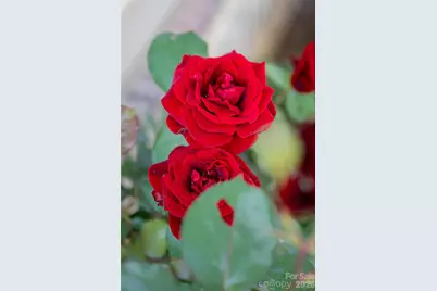 55 Outlook Circle, Swannanoa, NC 28778 - Photo 42