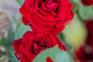 55 Outlook Cir, Swannanoa, NC 28778 - Photo 42